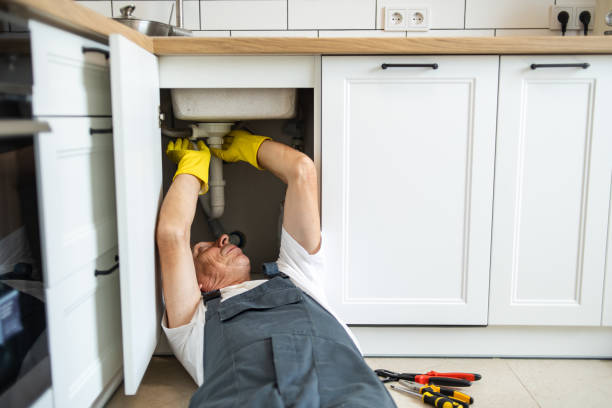 Best Shower Repair Services  in Park City, TN