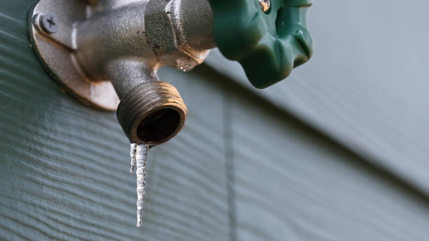 Best Emergency Plumbing Repair  in Park City, TN